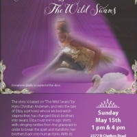 The Princess and the Wild Swans presented by Revolution Dance Academy at Colorado Springs Charter Academy, Colorado Springs CO