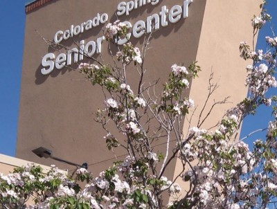 Colorado Springs Senior Center located in Colorado Springs CO