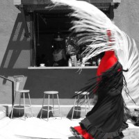 Poesia Flamenca: A Night Dedicated to the Flamenco Poets presented by Cucuru Gallery Cafe at Cucuru Gallery Cafe, Colorado Springs CO