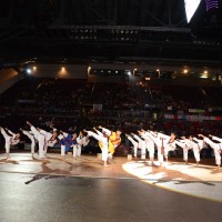 Gallery 4 - U.S. Open Taekwondo Hanmadang