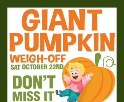 Giant Pumpkin Festival 2016 presented by Historic Old Colorado City at Old Colorado City, Colorado Springs CO