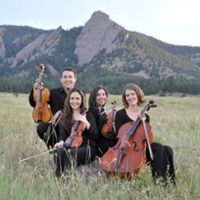 Front Range Strings located in Colorado Springs CO