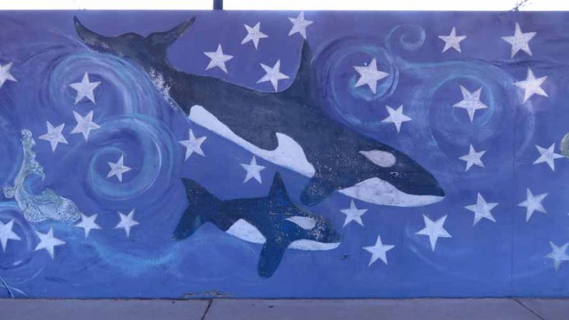 Gallery 4 - Steele Elementary: Whale Wall