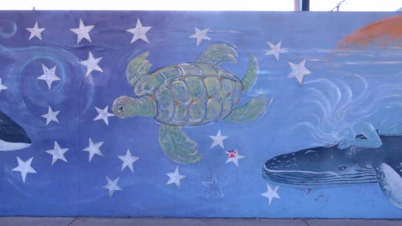 Gallery 5 - Steele Elementary: Whale Wall