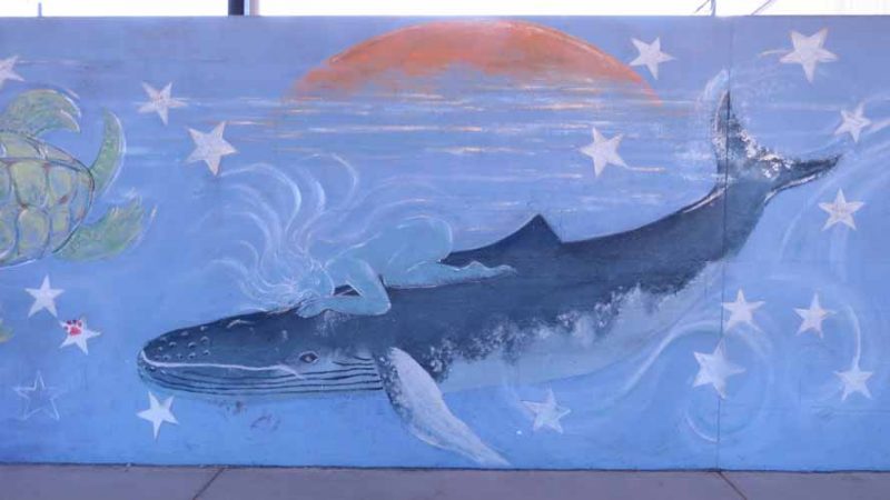Gallery 6 - Steele Elementary: Whale Wall