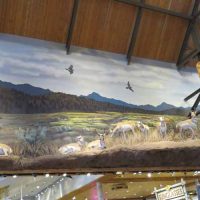 Gallery 1 - Bass Pro Shop: Central Walkway