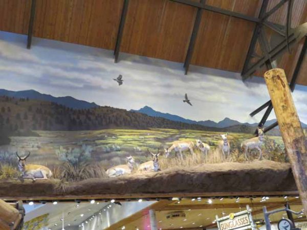 Gallery 1 - Bass Pro Shop: Central Walkway