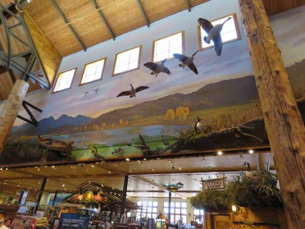 Gallery 4 - Bass Pro Shop: Central Walkway