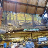 Gallery 5 - Bass Pro Shop: Central Walkway