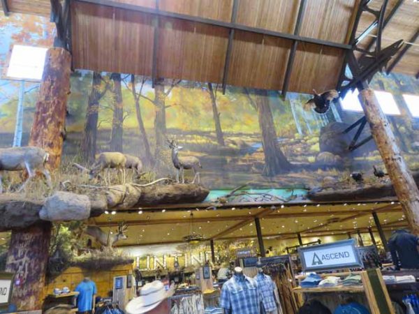 Gallery 5 - Bass Pro Shop: Central Walkway