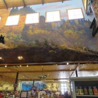 Gallery 7 - Bass Pro Shop: Central Walkway
