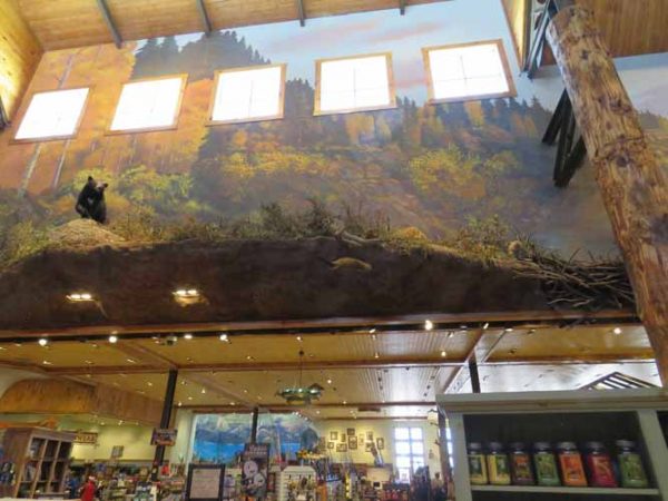 Gallery 7 - Bass Pro Shop: Central Walkway