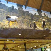 Gallery 8 - Bass Pro Shop: Central Walkway