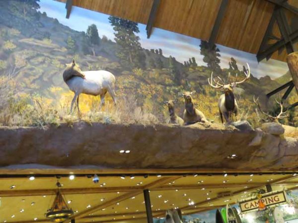 Gallery 8 - Bass Pro Shop: Central Walkway