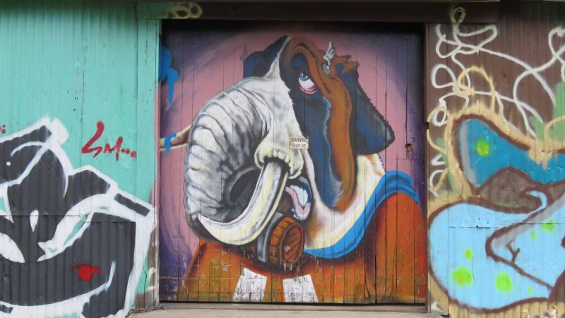 Gallery 1 - Graffiti Warehouse: West Wall