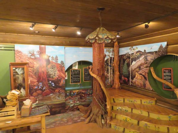 North Cheyenne Canon: Helen Hunt Falls Visitor Center: Wild Life