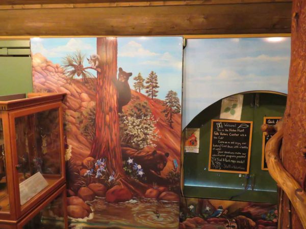 Gallery 8 - North Cheyenne Canon: Helen Hunt Falls Visitor Center: Wild Life