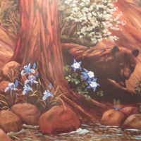 Gallery 7 - North Cheyenne Canon: Helen Hunt Falls Visitor Center: Wild Life