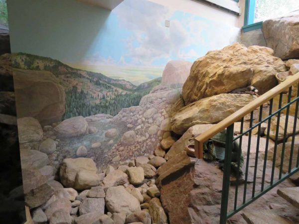 North Cheyenne Canon: Starsmore Visitor Center: Slice of the Rocky Mountains