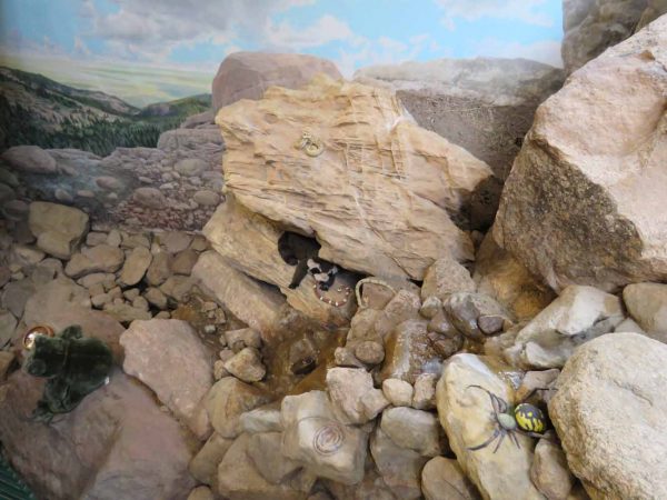 Gallery 3 - North Cheyenne Canon: Starsmore Visitor Center: Slice of the Rocky Mountains