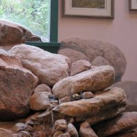 Gallery 2 - North Cheyenne Canon: Starsmore Visitor Center: Slice of the Rocky Mountains