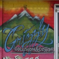 Gallery 3 - Grizzly Collision and Customs