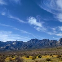 Gallery 2 - Travel Photography: Wandering Through Southern New Mexico