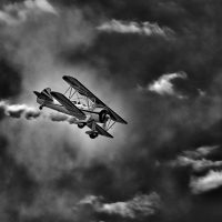 Gallery 2 - Things That Fly: Peak Digital Imaging Society Annual Show