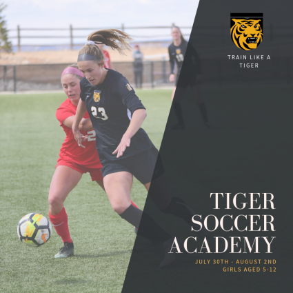 Gallery 3 - Tiger Soccer Academy