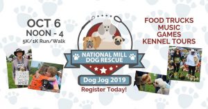 Dog Jog 2019 presented by National Mill Dog Rescue at ,  