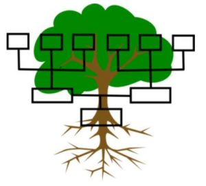 CANCELED: Introduction to Genealogy presented by Pikes Peak Genealogical Society at PPLD: East Library, Colorado Springs CO