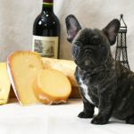 The 15th Annual Whine and Cheese presented by All Breed Rescue & Training at Norris Penrose Event Center, Colorado Springs CO