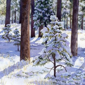 Winter Rivers and Trees in Watercolor presented by Winter Rivers and Trees in Watercolor at ,  