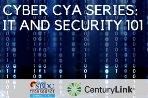 Cyber CYA Series: IT and Security 101 presented by Pikes Peak Small Business Development Center at Online/Virtual Space, 0 0