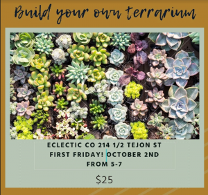 Blissful Botanicals Succulent and Terrarium Bar presented by  at ,  