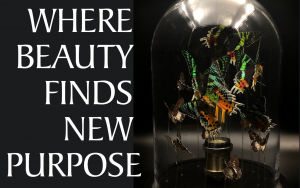 ‘Where Beauty Finds New Purpose’ presented by  at ,  