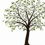 Gallery 1 - December Meeting for the Pikes Peak Genealogical Society