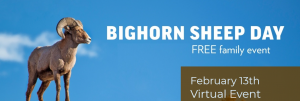 Bighorn Sheep Day presented by Garden of the Gods Visitor & Nature Center at Online/Virtual Space, 0 0