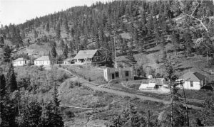 ‘Fremont Experimental Forest Station 1909 – 1935’ presented by Manitou Springs Heritage Center at Online/Virtual Space, 0 0