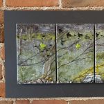 Gallery 1 - 'Images of Nature through Glass'