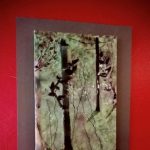 Gallery 3 - 'Images of Nature through Glass'