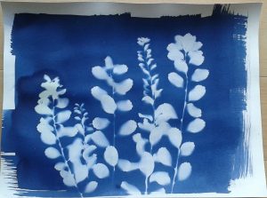 Cyanotype Photography Workshop presented by Old Colorado City Historical Society at Old Colorado City History Center, Colorado Springs CO