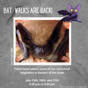 Bat Program and Walk presented by Garden of the Gods Visitor & Nature Center at Garden of the Gods Visitor and Nature Center, Colorado Springs CO