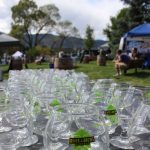 Bines & Brews Beer Fest presented by Tri-Lakes Chamber of Commerce and Visitor Center at Limbach Park, Monument CO