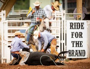 Ride for the Brand Ranch Rodeo presented by  at Norris Penrose Event Center, Colorado Springs CO