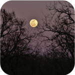 Full Moon Photography presented by Bear Creek Nature Center at ,  