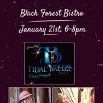 Tidal Breeze Jazz Duo presented by  at ,  
