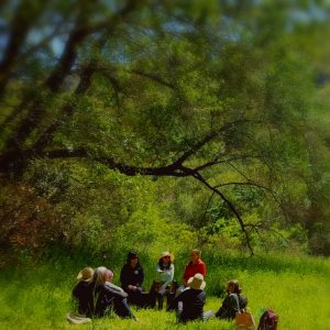 May Forest Bathing Walk presented by Bear Creek Nature Center at Bear Creek Nature Center, Colorado Springs CO