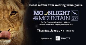 Moonlight on the Mountain 2022 presented by Cheyenne Mountain Zoo at Cheyenne Mountain Zoo, Colorado Springs CO