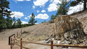 Florissant Fossil Beds National Monument located in Florissant CO